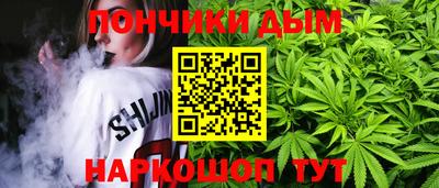 сатива Кандалакша