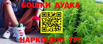 сатива Кандалакша