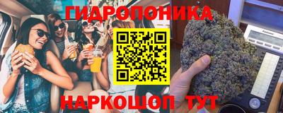 jwh Камышлов